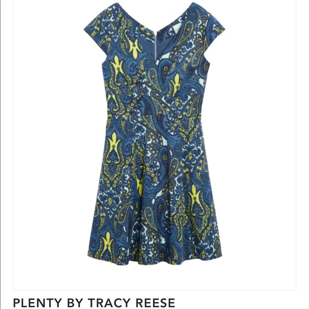 Blue paisley dress